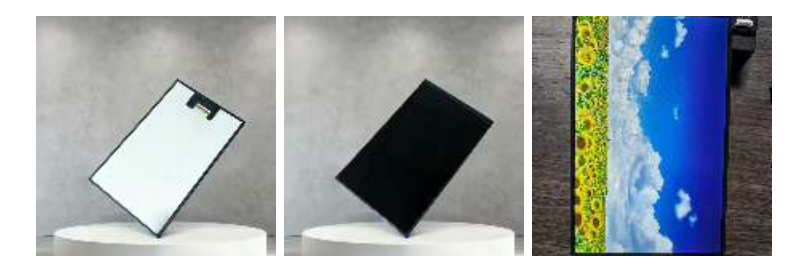 9.0-inch 800×1280 IPS MIPI Display Module – High-Brightness, Customizable <a href=https://www.szdingtouch.com/new/touchscreen.html target='_blank'>touchscreen</a> Solutions by DINGTouch