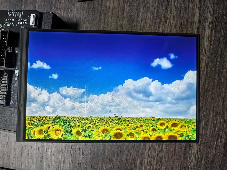 9.0-inch 800×1280 IPS MIPI Display Module – High-Brightness, Customizable <a href=https://www.szdingtouch.com/new/touchscreen.html target='_blank'>touchscreen</a> Solutions by DINGTouch